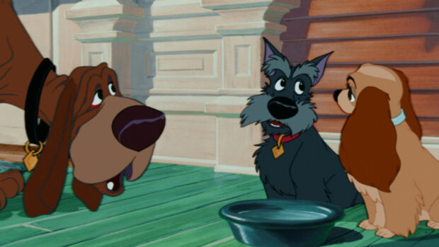 Three dogs from Lady And The Tramp gathered near a water bowl on a wooden floor