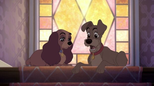 Lady and the tramp characters resting on the staircase with a stained glass window behind them