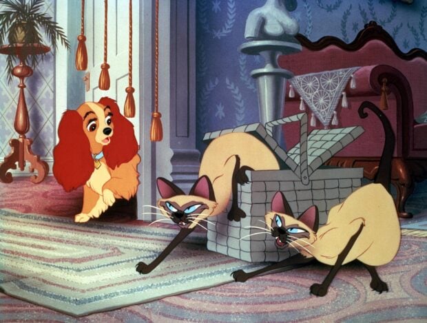 Lady And The Tramp characters with two Siamese cats in a vintage living room scene