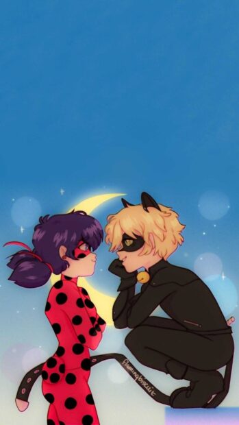 Ladybug and cat character facing each other with a crescent moon in the background