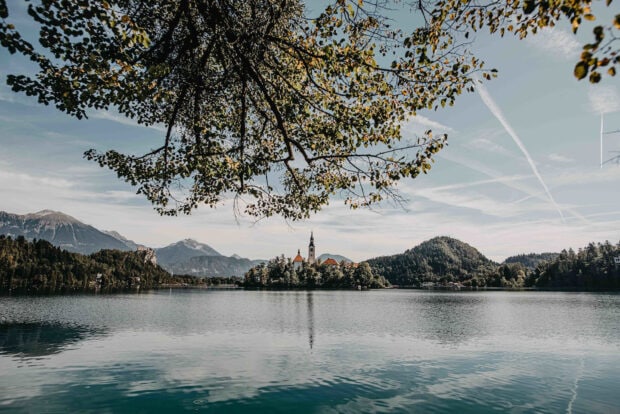 Scenic view of Lake Bled with island church and surrounding mountains under a tree branch