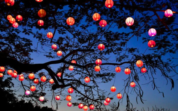 Red lanterns hanging from tree branches at dusk with a clear blue sky visible