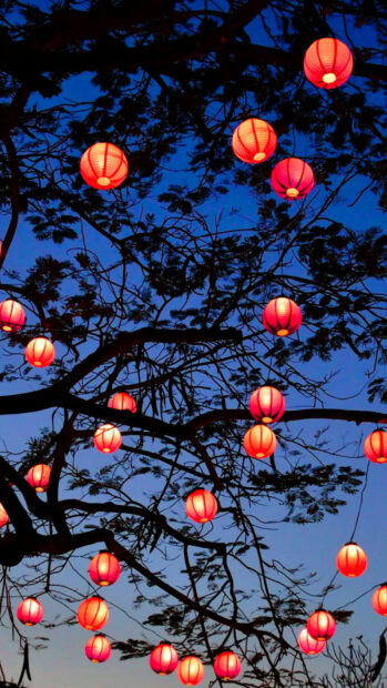 Red lanterns hanging from tree branches at dusk with a clear blue sky in the background