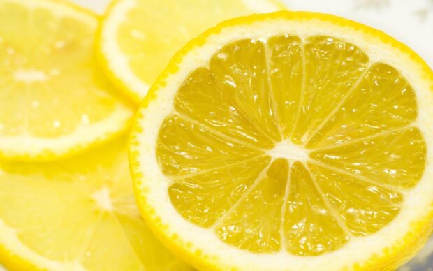 Close up of fresh lemon slices showing detailed texture and juicy segments