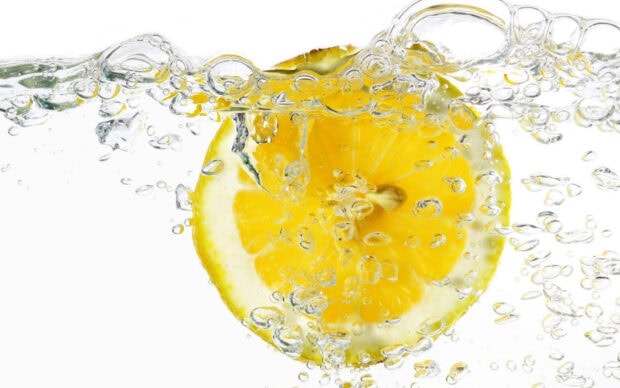 A fresh lemon slice submerged in clear sparkling water with bubbles surrounding it