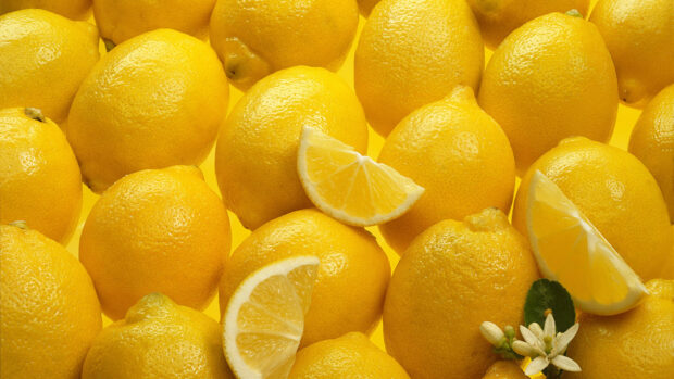 Close up of fresh lemon fruits with lemon slices and flowers