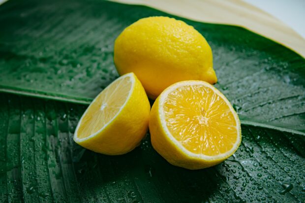 Fresh lemon fruit placed on a wet green leaf with vivid yellow color and natural texture