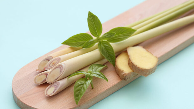 Fresh lemongrass stalks with green leaves and ginger slices on a wooden board