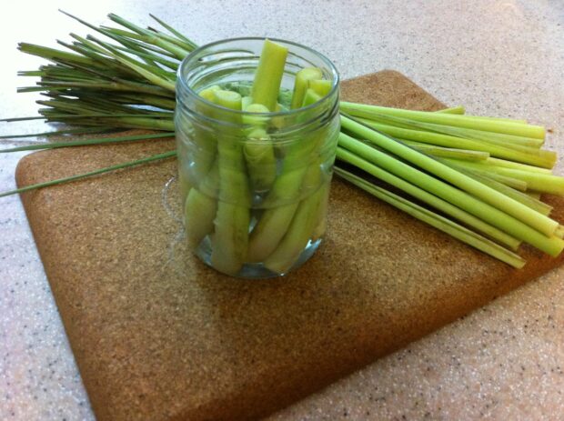Fresh lemongrass stalks placed on a cutting board with some submerged in water in a glass jar