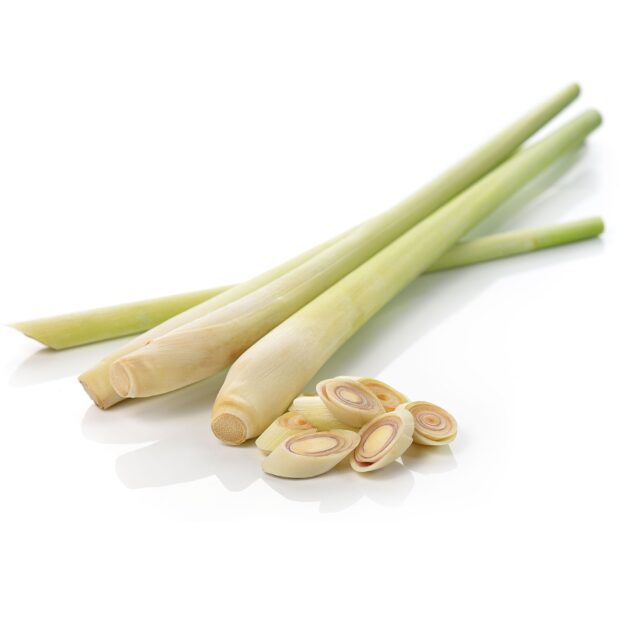 Fresh lemongrass stalks and slices on a clean white surface showcasing natural lemongrass