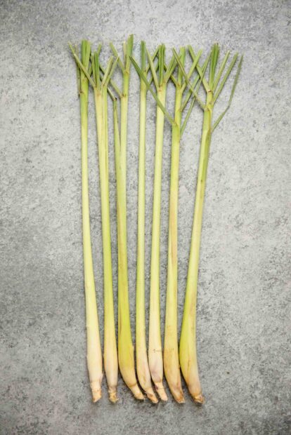 Fresh lemongrass stalks neatly arranged on a textured gray surface