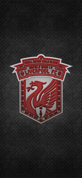 Red Liverbird emblem in Liverpool Fc logo on textured dark background