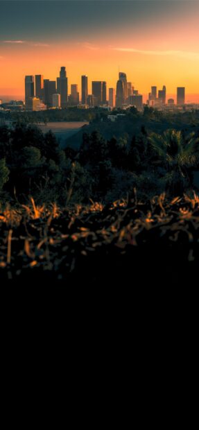 Los Angeles city skyline at sunset with vibrant orange sky and natural foreground vegetation