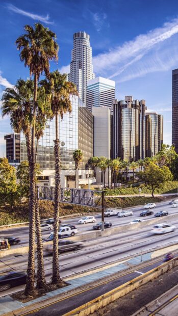Tall buildings and palm trees along the Los Angeles skyline with busy freeway traffic