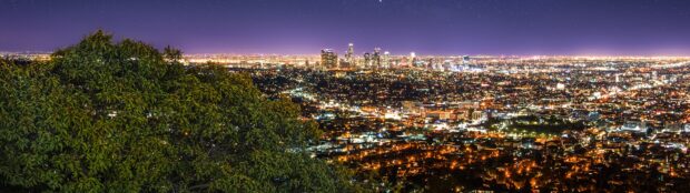Night view of Los Angeles skyline with city lights and greenery in the foreground
