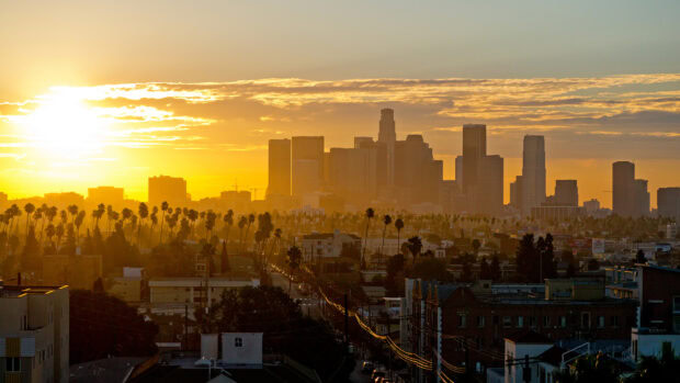 Los Angeles skyline viewed at sunset with tall buildings and palm trees in clear HD quality