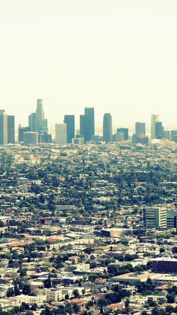 Los Angeles skyline captures the urban landscape and cityscape in clear daylight