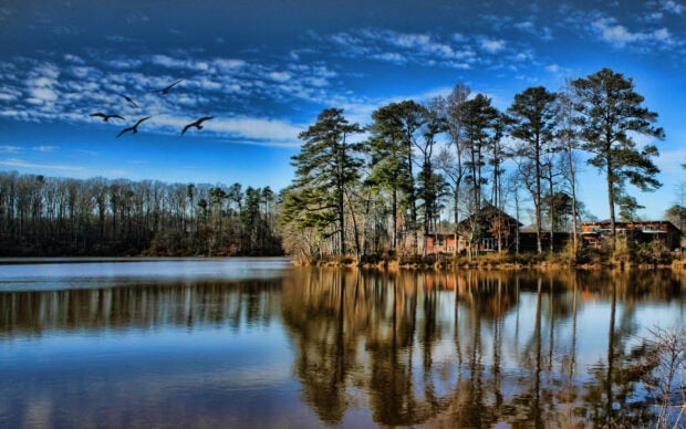 A peaceful lake in Louisiana surrounded by trees and houses under a blue sky with birds flying