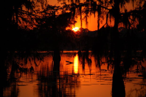 The Louisiana swamp at sunset with silhouetted trees and vibrant orange sky reflecting on the water