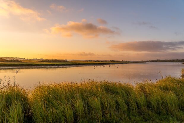 A peaceful Louisiana natural landscape with green marsh grass and calm water at sunset