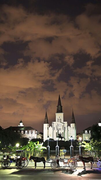Night view of Louisiana cathedral with horse carriages and cloudy sky