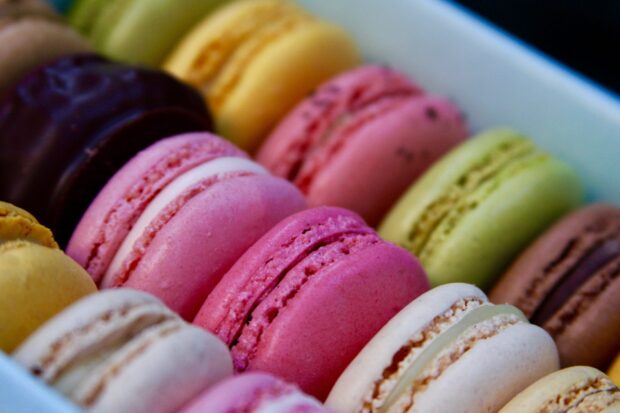 Close up of colorful macaron arranged in rows with soft lighting and focus on pink macarons