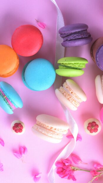 Colorful macaron assortment arranged on a pink surface with small flowers and a white ribbon