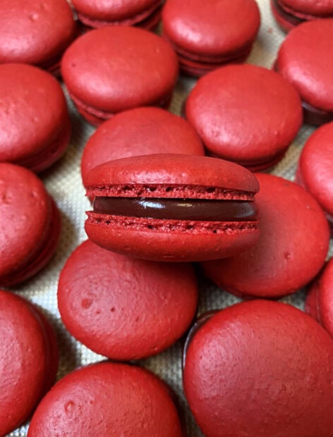 Close up of red macaron filled with chocolate on top of many red macarons