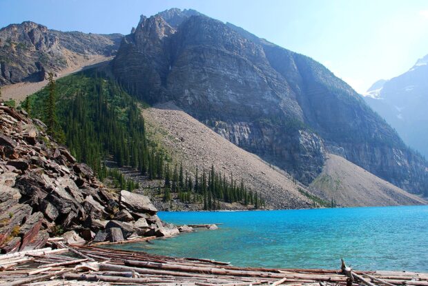 Moraine Lake is surrounded by rocky mountains and green pine trees near clear blue water