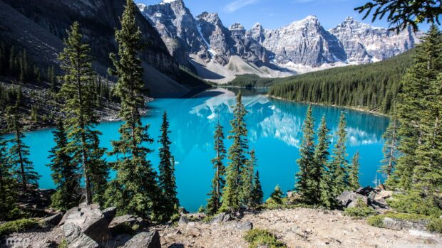 Moraine Lake surrounded by pine trees and mountain peaks reflected in clear blue water