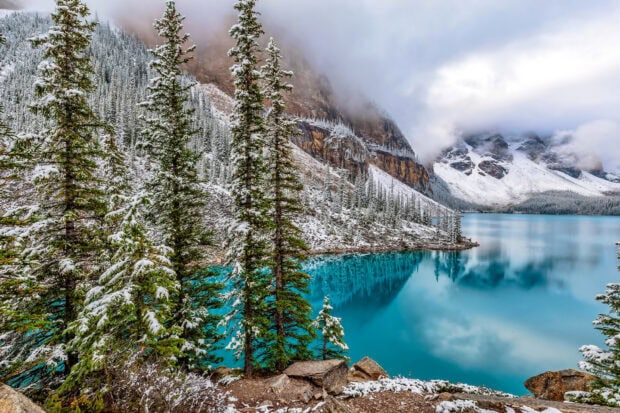 Snow covered trees near Moraine Lake with mountain reflections and cloudy sky