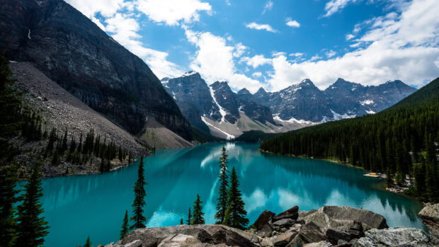 Turquoise water surrounded by mountains and pine trees at Moraine Lake in Banff National Park