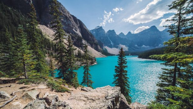 Rocky landscape with turquoise waters of Moraine Lake surrounded by pine trees and mountain peaks