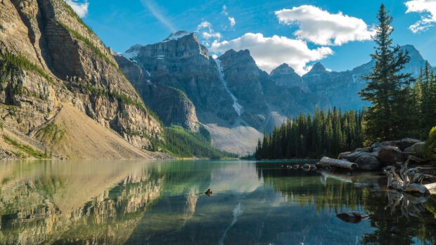 Clear Moraine Lake view with mountain reflections and forest surroundings in bright daylight