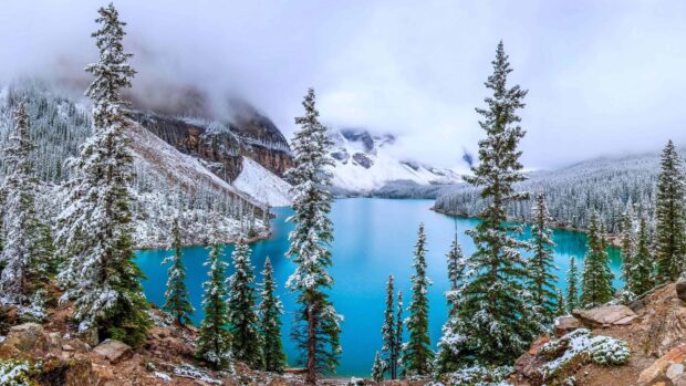 Snow covered trees surrounding Moraine Lake in a mountainous landscape with fog