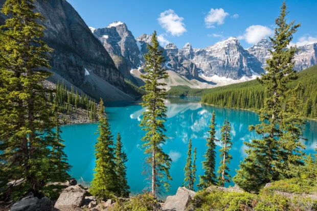 Tall pine trees surround the turquoise water of Moraine Lake with mountain peaks in the background