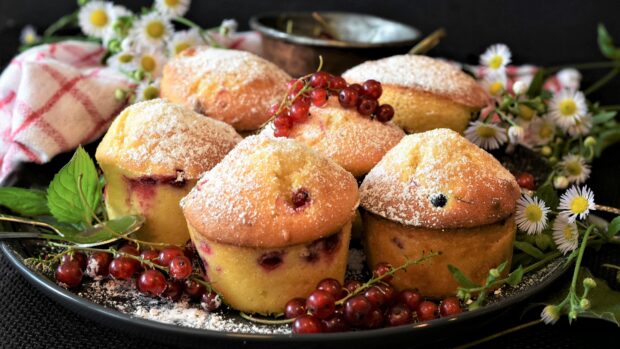 Fresh muffins with red currants and powdered sugar on a decorated plate with flowers and green leaves