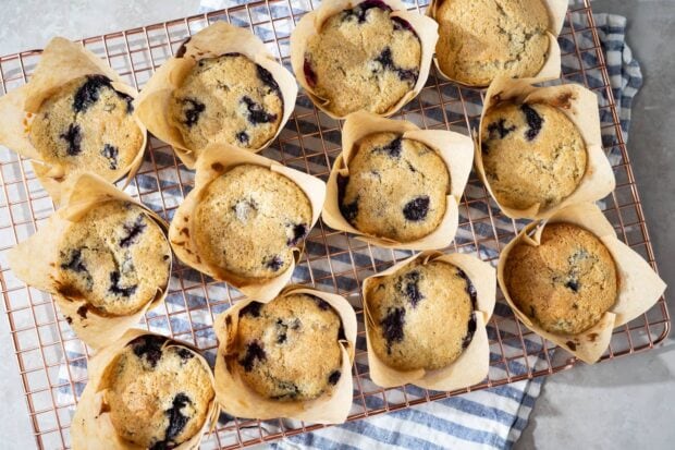 Blueberry muffin fresh from the oven cooling on a wire rack with parchment paper wrappers