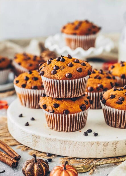 Fresh chocolate chip muffin on a wooden board with cinnamon sticks and mini pumpkins