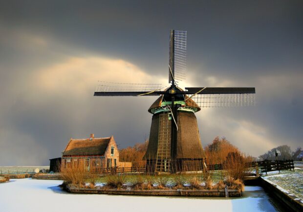 A traditional windmill in the Netherlands surrounded by snowy landscape and winter vegetation