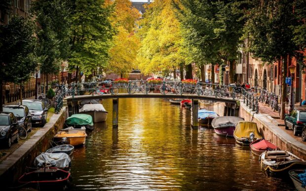 A peaceful canal with autumn trees and parked boats in the city of Netherlands