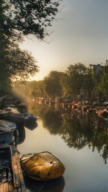 Early morning sunlight over a canal with boats and trees in Netherlands