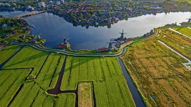 Traditional Dutch windmills near water and green fields in the Netherlands
