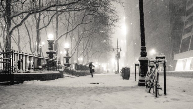 Snow covered New York street with bare trees and street lamps in black and white