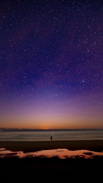 A person standing on the shore under a night skyline filled with stars