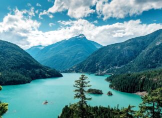A scenic view of North America mountains and lake surrounded by dense forest under a cloudy sky