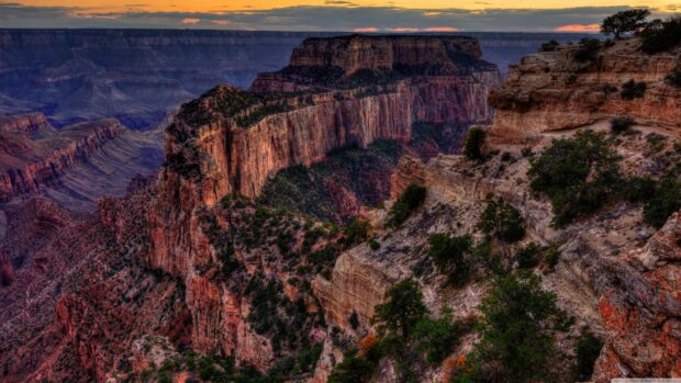 Grand canyon landscape featuring rugged cliffs and vegetation at sunset in North America