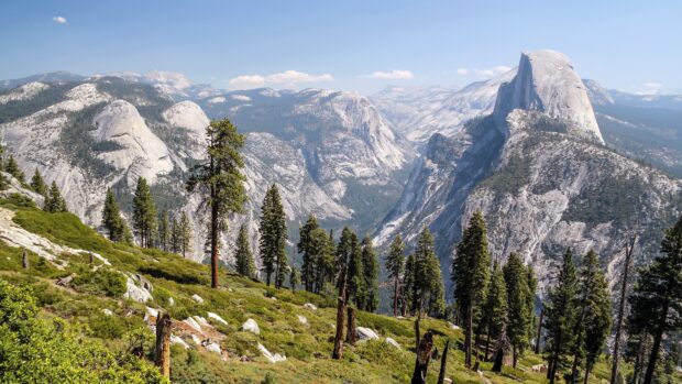 Majestic North America granite mountains surrounded by green pine trees and clear blue sky