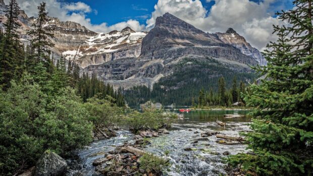Mountain landscape with forest and stream in North America scenery