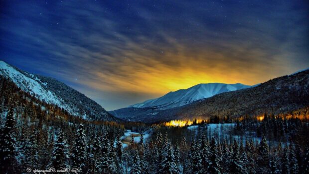 Snow covered mountains and pine forest under a starry sky in North America